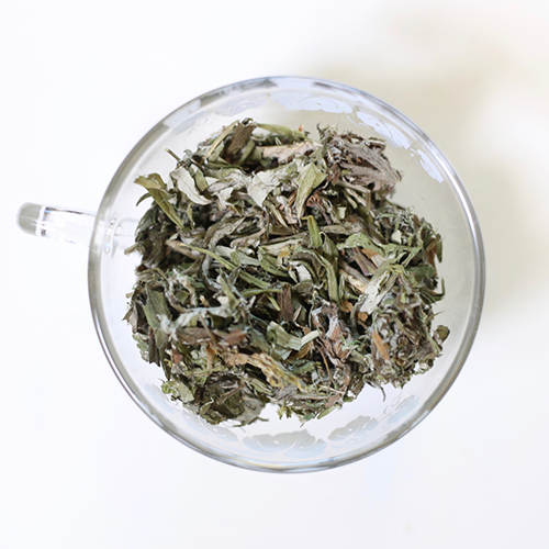 Mugwort