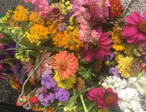 Summer Bouquets are here!