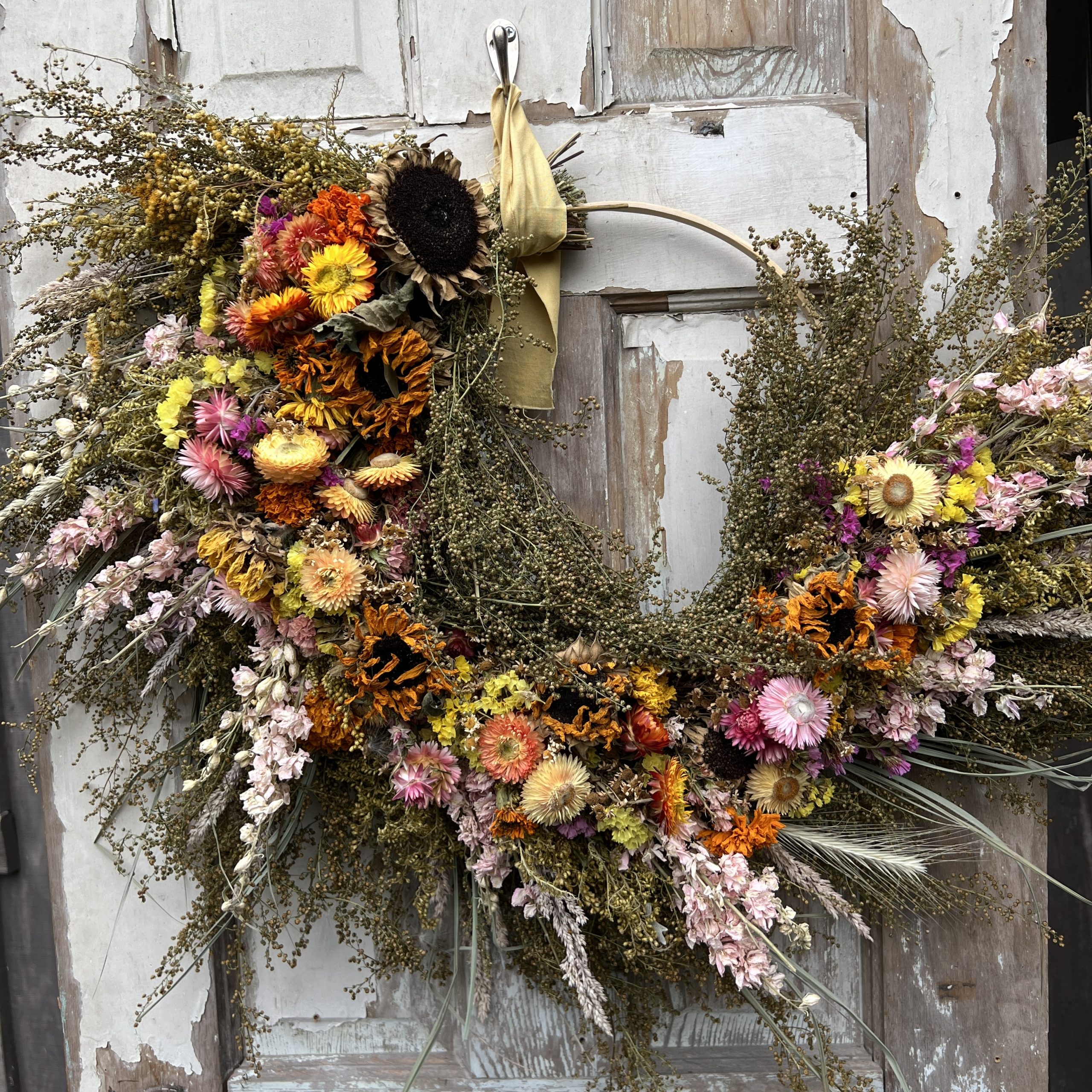 Photo Dec 05 2023, 1 46 26 PM